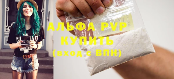 амф Вяземский