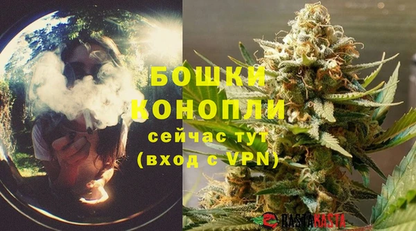 амф Вяземский
