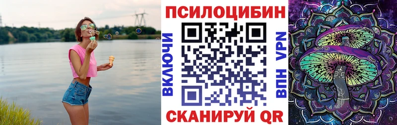сколько стоит  Щёлкино  Галлюциногенные грибы Cubensis 