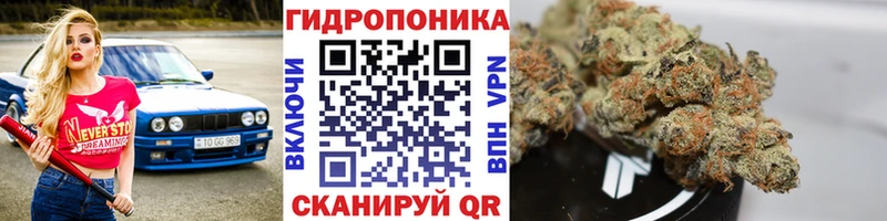 Канабис OG Kush  kraken   Щёлкино  где купить наркоту 